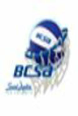 Logo BCSA
