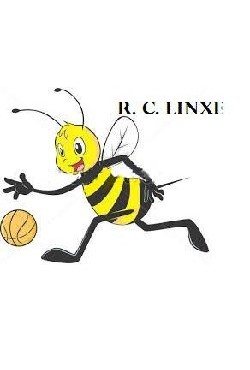 Logo RACING CLUB LINXOIS