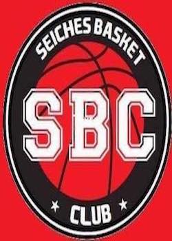 SEICHES SUR LE LOIR logo