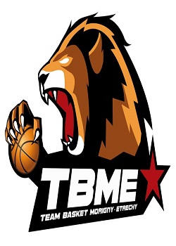 TBME logo