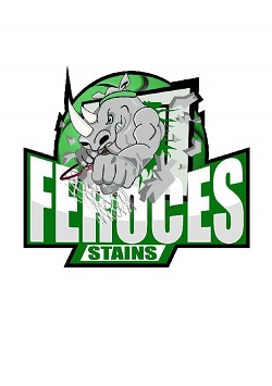 Logo ES STAINS